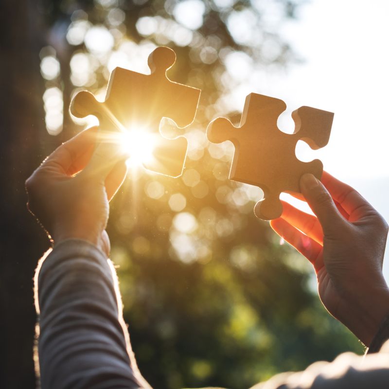 인생 설계의 숨은 퍼즐, 생명보험