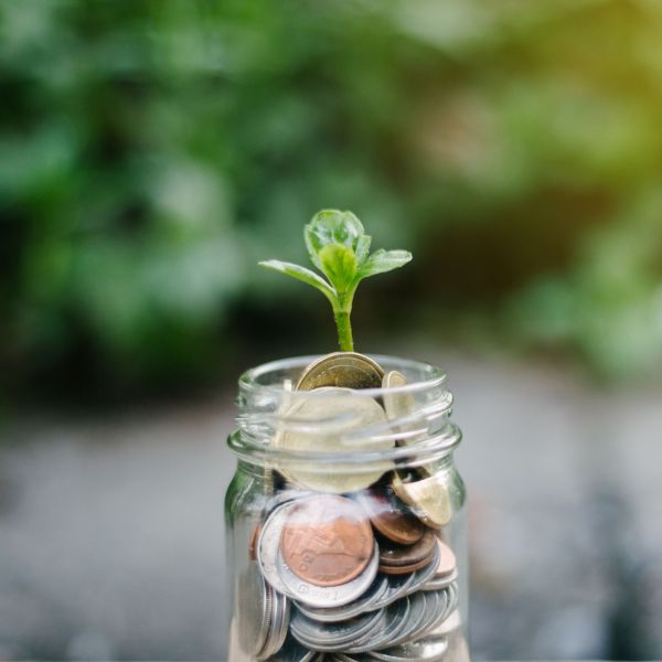 어뉴이티(Annuity)는 안전할까? 가입 전에 꼭 알아야 할 5가지